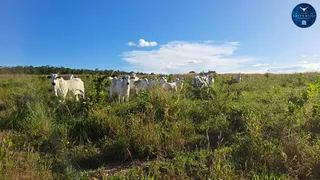 Fazenda / Sítio / Chácara à venda no Zona Rural, Nova Xavantina - Foto 9