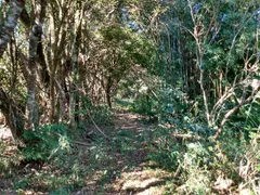 Fazenda / Sítio / Chácara com 3 Quartos à venda, 14000m² no Bairro da Roseira, Extrema - Foto 1