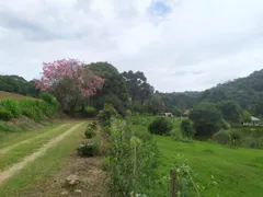 Fazenda / Sítio / Chácara com 3 Quartos à venda, 266748m² no Capela Velha, Araucária - Foto 44