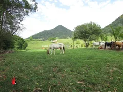 Fazenda / Sítio / Chácara com 4 Quartos à venda, 183000m² no Zona Rural, Rio Bonito - Foto 24