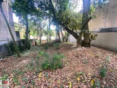 Terreno / Lote / Condomínio à venda, 300m² no Vila Mascote, São Paulo - Foto 1