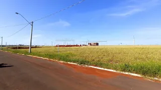 Terreno / Lote / Condomínio à venda, 250m² no , São Carlos - Foto 1