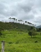 Fazenda / Sítio / Chácara à venda, 120000m² no Sorocaba do Sul, Biguaçu - Foto 3