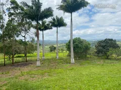 Fazenda / Sítio / Chácara com 5 Quartos à venda, 70000m² no São Vicente de Paulo, Vitória de Santo Antão - Foto 71