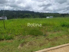 Terreno / Lote / Condomínio à venda, 275m² no Alto Umuarama, Uberlândia - Foto 2