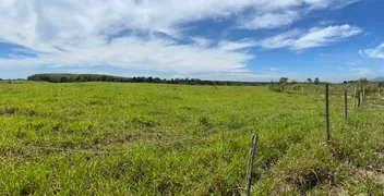 Fazenda / Sítio / Chácara à venda, 20000m² no Area Rural de Serra, Serra - Foto 7