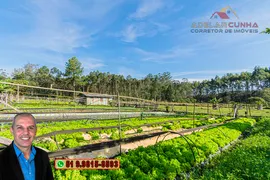 Fazenda / Sítio / Chácara com 2 Quartos à venda, 120m² no Campo da Brazina, Araricá - Foto 28