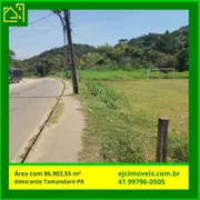 Terreno / Lote / Condomínio à venda, 86903m² no Colonia Antonio Prado, Almirante Tamandaré - Foto 1