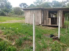 Fazenda / Sítio / Chácara com 4 Quartos à venda, 30100m² no Vila Seca, Caxias do Sul - Foto 13