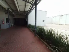 Prédio Inteiro para alugar, 900m² no Jardim Chapadão, Campinas - Foto 6