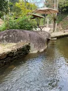 Fazenda / Sítio / Chácara com 6 Quartos à venda, 55000m² no , Rio Bonito - Foto 6