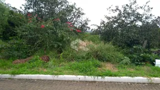 Terreno / Lote / Condomínio à venda, 300m² no Centro, Nova Santa Rita - Foto 2