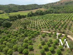 Fazenda / Sítio / Chácara à venda no Nova Fátima, Hidrolândia - Foto 5