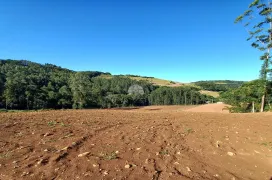 Fazenda / Sítio / Chácara à venda, 30000m² no Zona Rural, Pato Branco - Foto 12