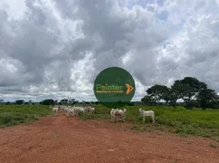 Fazenda / Sítio / Chácara à venda, 4743200m² no Zona Rural, Formoso - Foto 5