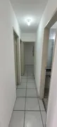 Apartamento com 3 Quartos para alugar, 67m² no Vila Matilde, São Paulo - Foto 48