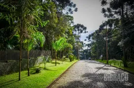 Terreno / Lote / Condomínio à venda, 3003m² no Jardim Primavera, Piraquara - Foto 6