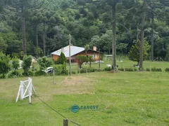 Fazenda / Sítio / Chácara com 4 Quartos à venda, 31000m² no Vila Seca, Caxias do Sul - Foto 16