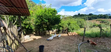 Fazenda / Sítio / Chácara com 3 Quartos à venda, 27225m² no Tietê, Araucária - Foto 14