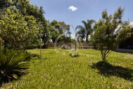 Fazenda / Sítio / Chácara com 2 Quartos à venda, 150m² no Bocaiuva Do Sul, Bocaiúva do Sul - Foto 5