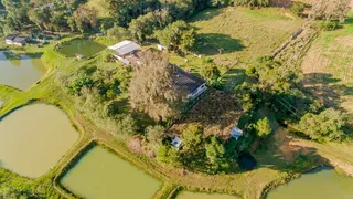 Fazenda / Sítio / Chácara com 3 Quartos à venda, 205000m² no Area Rural de Fazenda Rio Grande, Fazenda Rio Grande - Foto 53