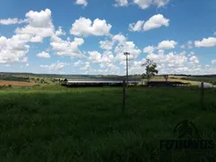 Fazenda / Sítio / Chácara com 7 Quartos à venda, 320m² no Zona Rural, Bela Vista de Goiás - Foto 15