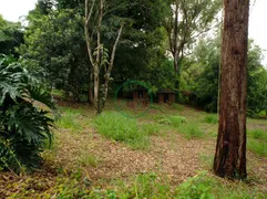 Fazenda / Sítio / Chácara com 2 Quartos à venda, 300m² no Jardim Torrao De Ouro, São José dos Campos - Foto 21