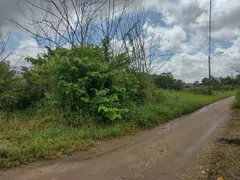 Terreno / Lote / Condomínio com 1 Quarto à venda, 1000m² no Aldeia dos Camarás, Camaragibe - Foto 8