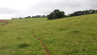 Fazenda / Sítio / Chácara com 2 Quartos à venda, 75m² no Zona Rural, Lambari - Foto 8