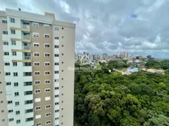 Apartamento com 2 Quartos à venda, 56m² no Panazzolo, Caxias do Sul - Foto 10