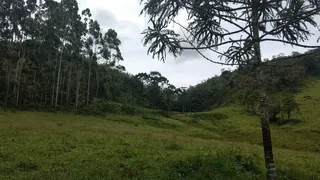 Fazenda / Sítio / Chácara com 2 Quartos à venda, 240000m² no Pouso Alto, Natividade da Serra - Foto 12