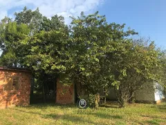Fazenda / Sítio / Chácara com 2 Quartos à venda, 100m² no São Braz, Torres - Foto 7
