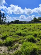 Fazenda / Sítio / Chácara com 3 Quartos à venda, 14400m² no Zona Rural, Monte Alegre - Foto 7