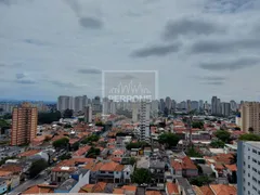 Apartamento com 4 Quartos à venda, 115m² no Belenzinho, São Paulo - Foto 15