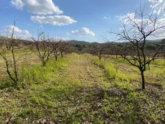 Fazenda / Sítio / Chácara com 8 Quartos à venda, 500m² no MOMBUCA, Itatiba - Foto 36
