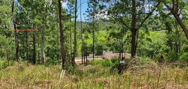 Terreno / Lote / Condomínio à venda, 1870m² no Joaquim Egídio, Campinas - Foto 7