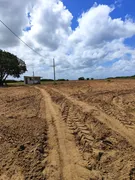 Fazenda / Sítio / Chácara com 3 Quartos à venda, 13500m² no Zona Rural, Monte Alegre - Foto 18