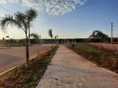 Terreno / Lote / Condomínio à venda, 200m² no Centro, Guaíba - Foto 32