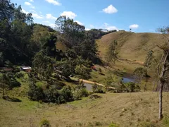 Fazenda / Sítio / Chácara com 2 Quartos à venda, 240000m² no Pouso Alto, Natividade da Serra - Foto 59