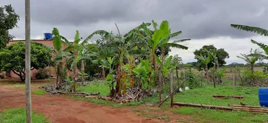 Fazenda / Sítio / Chácara com 4 Quartos à venda, 40000m² no Area Rural do Paranoa, Brasília - Foto 18