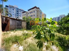 Terreno / Lote / Condomínio à venda, 600m² no Castelo, Belo Horizonte - Foto 3