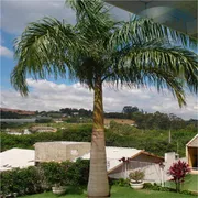 Casa de Condomínio com 3 Quartos à venda, 280m² no Parque das Videiras, Louveira - Foto 12