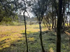 Fazenda / Sítio / Chácara à venda, 20000m² no Centro, São Joaquim - Foto 9