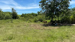 Fazenda / Sítio / Chácara com 3 Quartos à venda, 120249m² no Agrisa, Cabo Frio - Foto 7