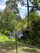 Casa com 4 Quartos à venda, 392m² no Centro, Campos do Jordão - Foto 49