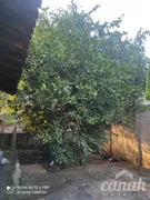 Fazenda / Sítio / Chácara com 3 Quartos à venda, 240m² no Jardim das Palmeiras, Ribeirão Preto - Foto 23