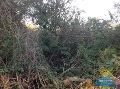 Terreno / Lote / Condomínio à venda no Santinho, Florianópolis - Foto 8