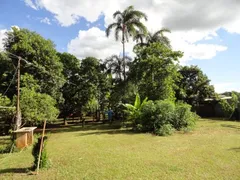 Fazenda / Sítio / Chácara com 3 Quartos à venda, 500m² no Recreio Internacional, Ribeirão Preto - Foto 10