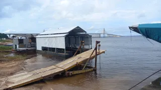 Galpão / Depósito / Armazém à venda, 70000m² no Compensa, Manaus - Foto 5