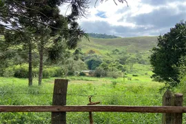 Fazenda / Sítio / Chácara com 2 Quartos à venda, 150000m² no Salvaterra, Juiz de Fora - Foto 16